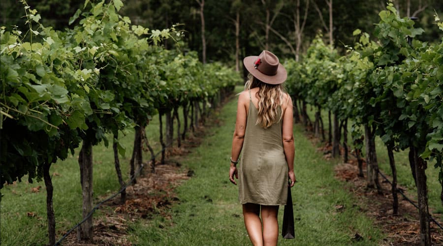 Tours and Experiences | tours Scenic Rim landscape near Tamborine Mountain, Queensland